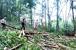 Cần sửa đổi chính sách quản lý trong giao đất, giao rừng 