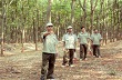 Người bảo vệ tận tâm