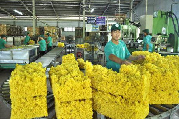 Nâng cao chất lượng sản phẩm cao su, đáp ứng yêu cầu phát triển bền vững
