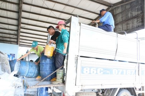 Cạnh tranh mua mủ ở Bình Thuận