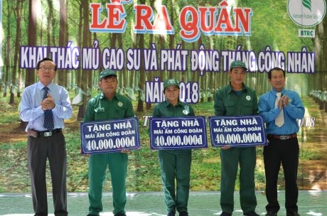 Cao su Bình Thuận phấn đấu thu mua 9.000 tấn mủ