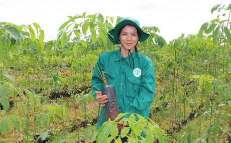 Bùi Thị Trang – “Bàn tay vàng” lai ghép cao su