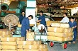 Giá cao su Tocom lên cao nhất 3 tuần