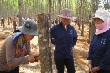 Cạo D4 thể hiện sự vượt trội