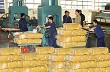 Sẽ có hơn 400 gian hàng tham gia triển lãm chuyên ngành Cao su Việt Nam