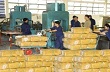 Xuất khẩu cao su sang Trung Quốc diễn biến phức tạp