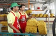 Việt Nam sắp là nước xuất khẩu cao su thứ ba thế giới