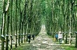 VRG cần đa dạng hóa các hình thức đầu tư