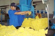 AgroMonitor: Giá cao su thành phẩm tại Đông Nam Bộ, Tây Nguyên sáng 10/7/2014