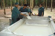 Công ty Cổ phần Cao su Phước Hòa: Phát triển từ nền tảng vững vàng