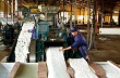 Nỗi lo khi Việt Nam là nước sản xuất cao su số 3 thế giới