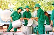 Cao su - Loay hoay ứng phó biến động giá 