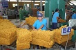 Tìm giải pháp tiêu thụ cao su trong nước