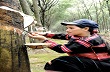 Ngăn chặn tình trạng nông dân phá bỏ cây cao su