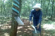Đừng nghỉ việc hưởng lợi trước mắt!
