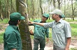 Tổ chức thu mua gắn kết chặt chẽ với hộ nông dân