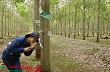 Cùng công nhân vượt khó