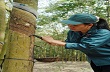 Tiết kiệm 25% lao động khi cạo chế độ D4