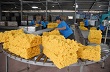 Giá cao su xuất khẩu giảm hơn 31%