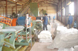 Giá cao su Tocom tăng sau bầu cử của Nhật Bản