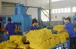 Cty CP Cao su Phước Hòa: Đi đầu trong làm theo Bác