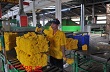 Hy vọng mới