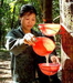 Giá cao su thế giới ngày 12/9/2013