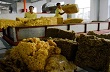 AgroMonitor: Giá cao su thế giới ngày 3/6/2014 