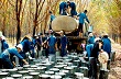 Lượng tiêu thụ cao su thiên nhiên tăng 4,8%