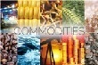 Xuất khẩu cà phê, cao su tăng mạnh trong quí 1