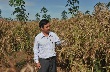 Diễn đàn “Trồng cây gì nâng cao hiệu quả sử dụng đất?”: Nhiều mô hình hay, hiệu quả