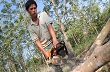 Cao su Việt Nam vượt khó để tăng sức cạnh tranh - Bài 1: Từ "vỡ" quy hoạch đến chặt bỏ vì giá