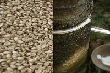 [Giá hàng hóa] Cao su mất gần 4%, cà phê robusta chững giá 