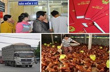 Chính sách mới có hiệu lực từ tháng 1/2015