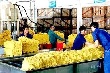 Ngành cao su: Cần chủ động cơ cấu lại sản xuất 