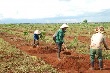 Chú trọng nâng cao vai trò cán bộ chuyên quản