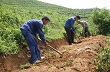 Các CTCS miền núi phía Bắc: Mở rộng sản xuất, tạo việc làm và tăng thu nhập cho người lao động.