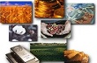 Tuần 8-14/7: Giá hàng hóa tiếp tục tăng sau tín hiệu của Fed
