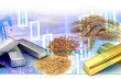 Tuần 16-22/9: Giá hàng hóa nguyên liệu giảm tuần thứ 2 liên tiếp bất chấp quyết định của Fed