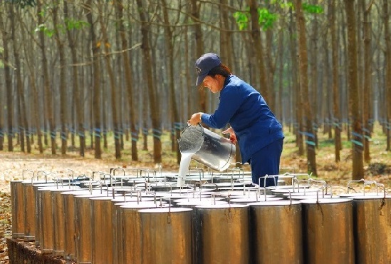 VRG - Tiếp tục phát triển các ngành kinh doanh cốt lõi sau cổ phần hóa 