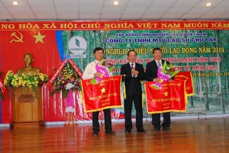 Cao su Chư Păh phấn đấu khai thác 7.700 tấn mủ năm 2019