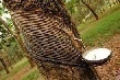 Lựa chọn cổ phiếu nào để đầu tư khi giá cao su khó có cơ hội bứt phá mạnh trong nửa cuối năm 2017?
