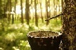 Cần tích cực và quyết liệt hơn trong cổ phần hóa