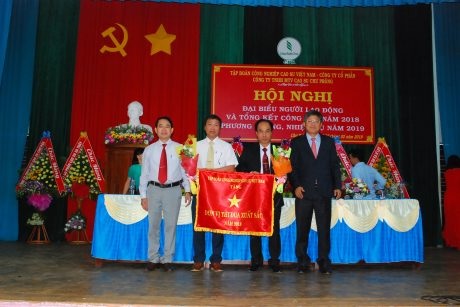 Cao su Chư Prông: Vượt qua khó khăn, hoàn thành chỉ tiêu sản xuất kinh doanh