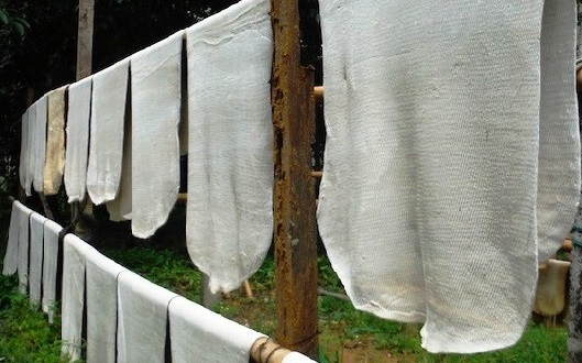 Sản lượng cao su dự báo giảm 70.000 tấn, nhập khẩu tăng cao, ngành cao su Ấn Độ kêu gọi áp giá nhập khẩu tối thiểu 