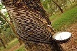 Cao su để mất mức giá cao nhất trong vòng 1,5 năm do áp lực chốt lời