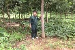 Cần có cơ chế, chính sách đặc thù đối với cán bộ công tác ở Lào và Campuchia 