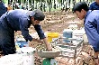 HRC: 9 tháng doanh thu đạt 44 tỷ đồng