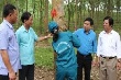 Cao su Hà Tĩnh phấn đấu vượt khó, đạt sản lượng 1.780 tấn mủ