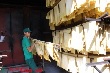 Cao su Việt Nam sẽ giao dịch trên sàn